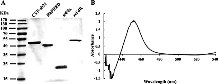 FIG 2