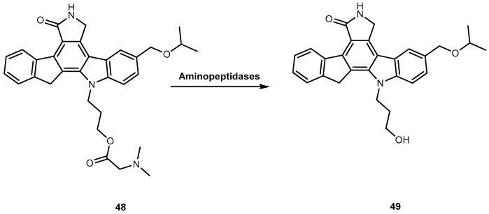 Figure 22