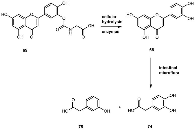 Figure 30