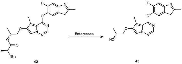 Figure 20