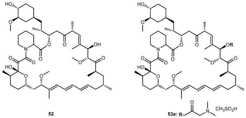 Figure 24