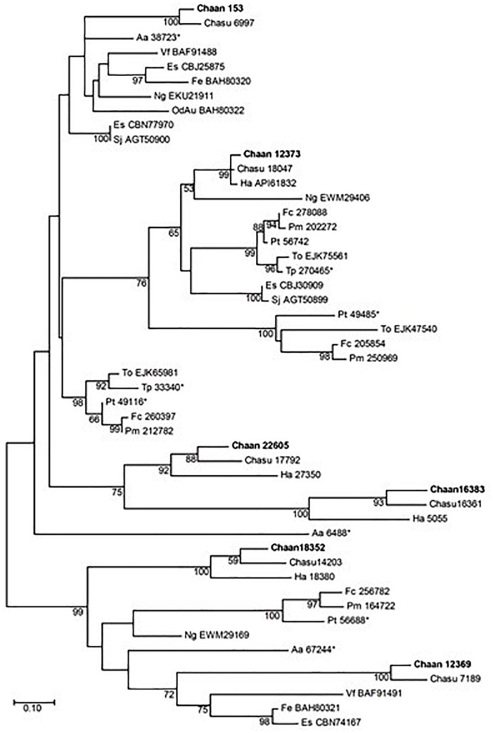 FIGURE 2