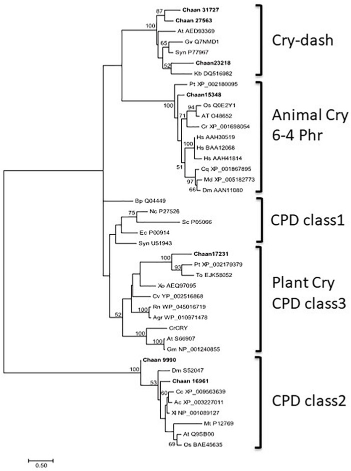 FIGURE 3