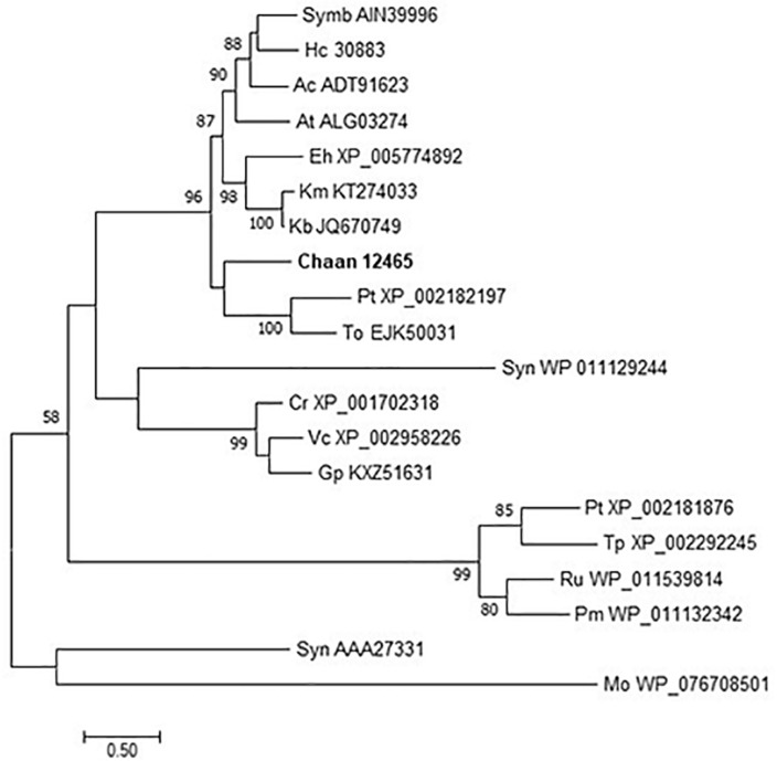 FIGURE 7