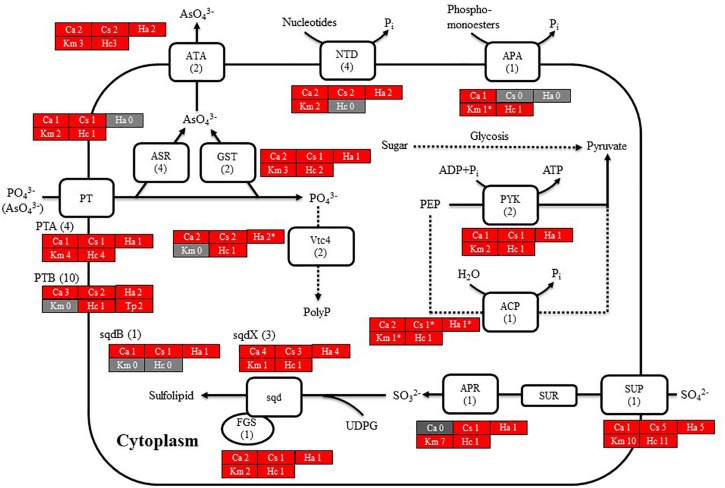 FIGURE 6