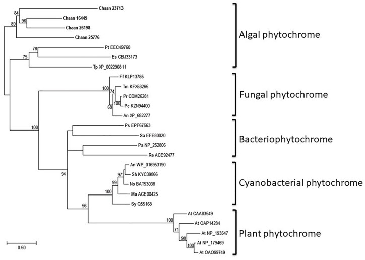 FIGURE 4