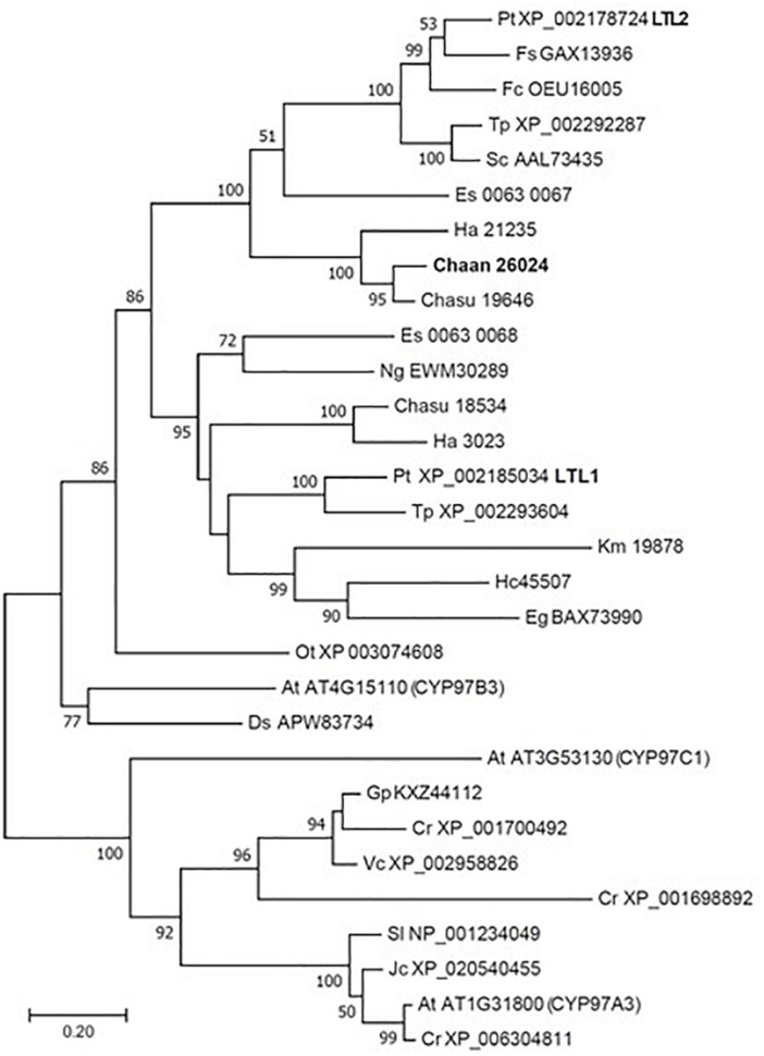 FIGURE 1