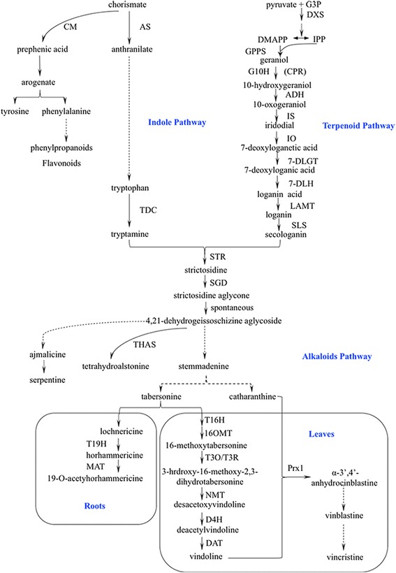 Fig. 1