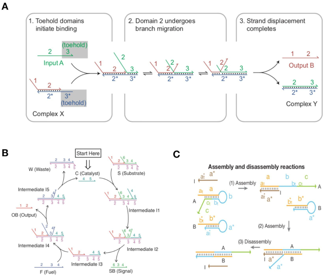 Figure 4.