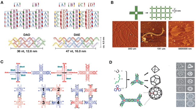 Figure 2.