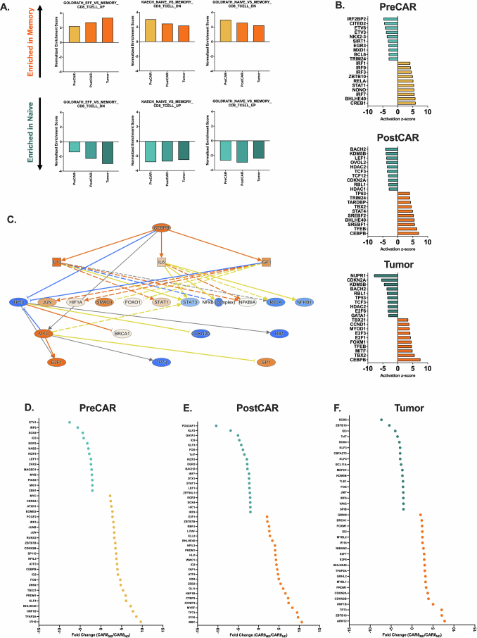 Extended Data Fig. 7