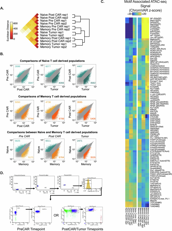 Extended Data Fig. 6