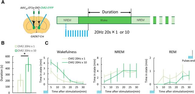 Figure 3.