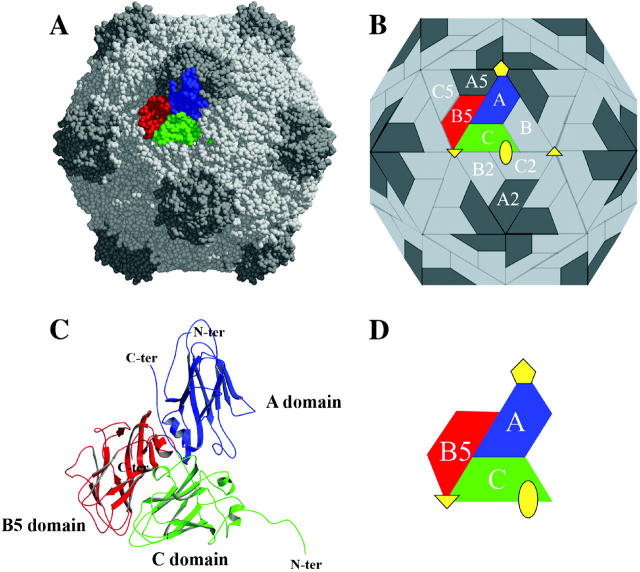 FIGURE 1