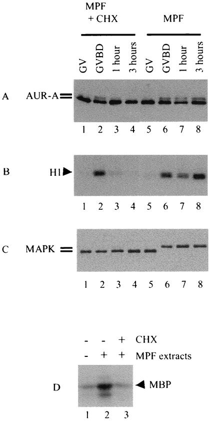 FIG. 10.