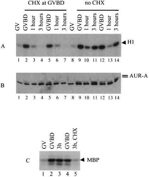 FIG. 9.