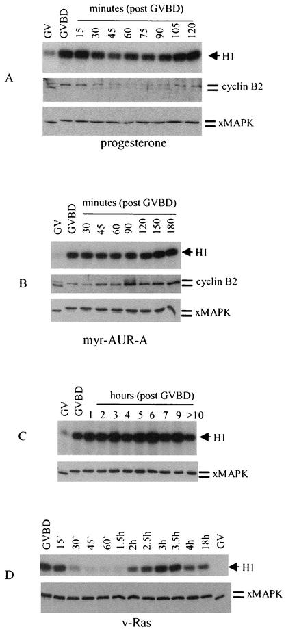 FIG. 5.