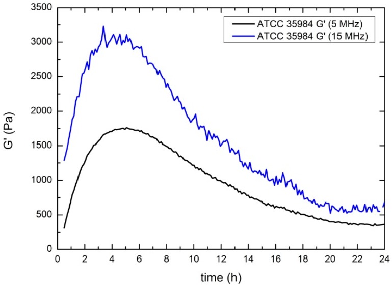 Figure 7