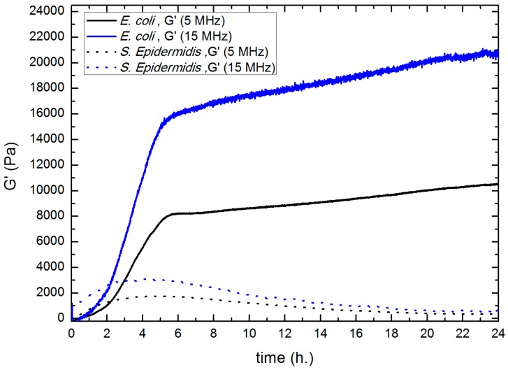 Figure 10