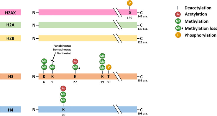 Figure 1