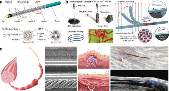 Figure 20