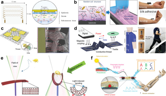 Figure 21