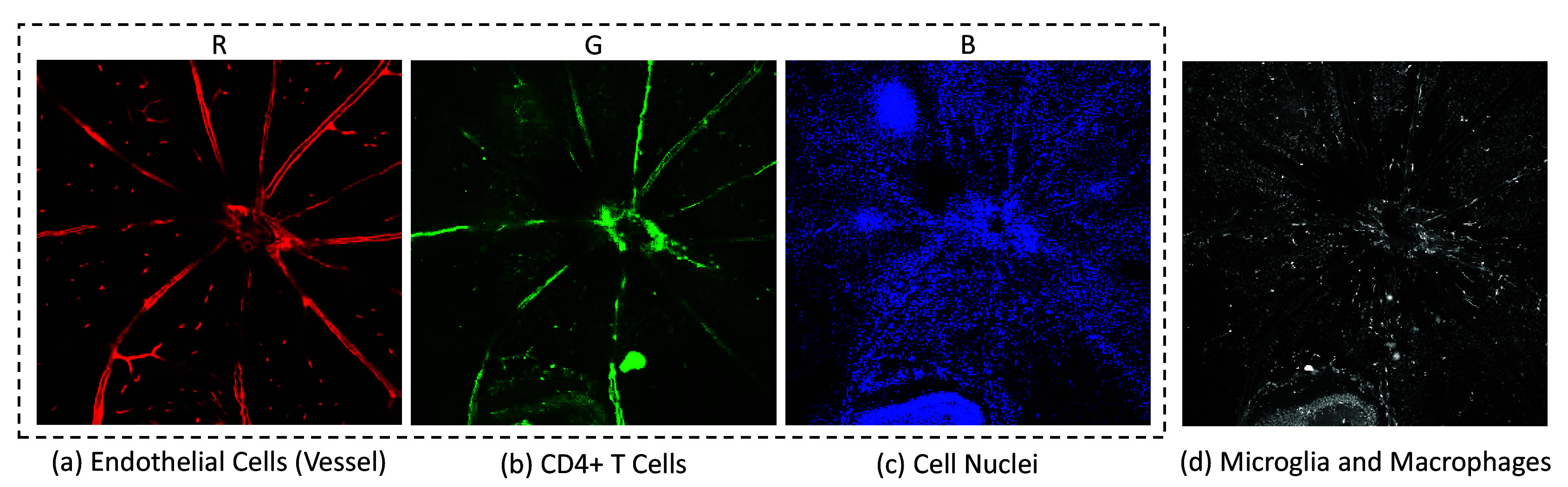 Figure 3.