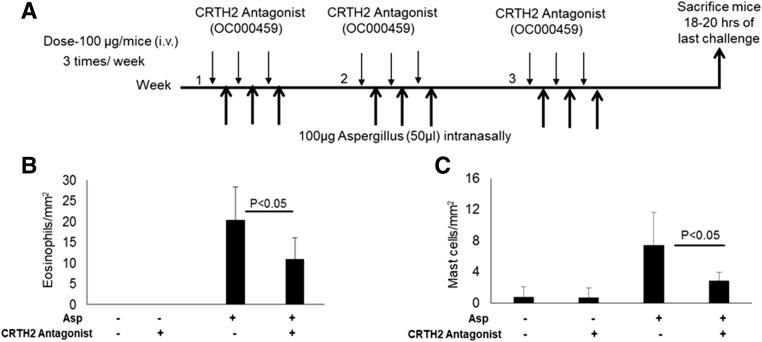 Supplementary Figure 4