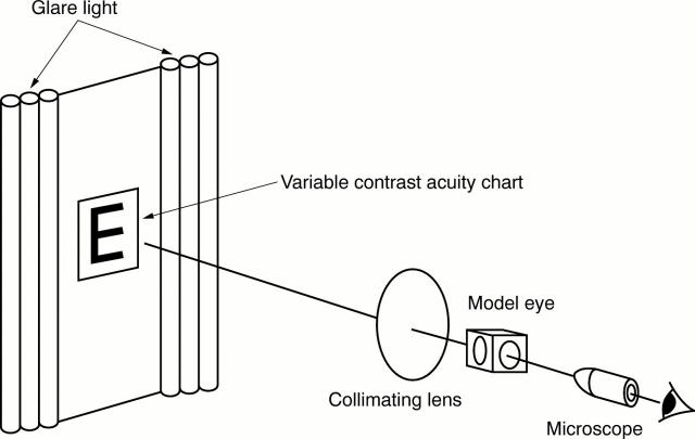 Figure 2  