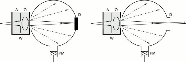 Figure 1  