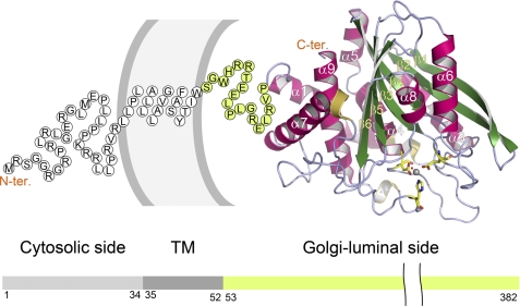 FIGURE 1.