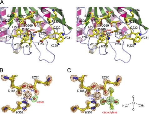 FIGURE 4.