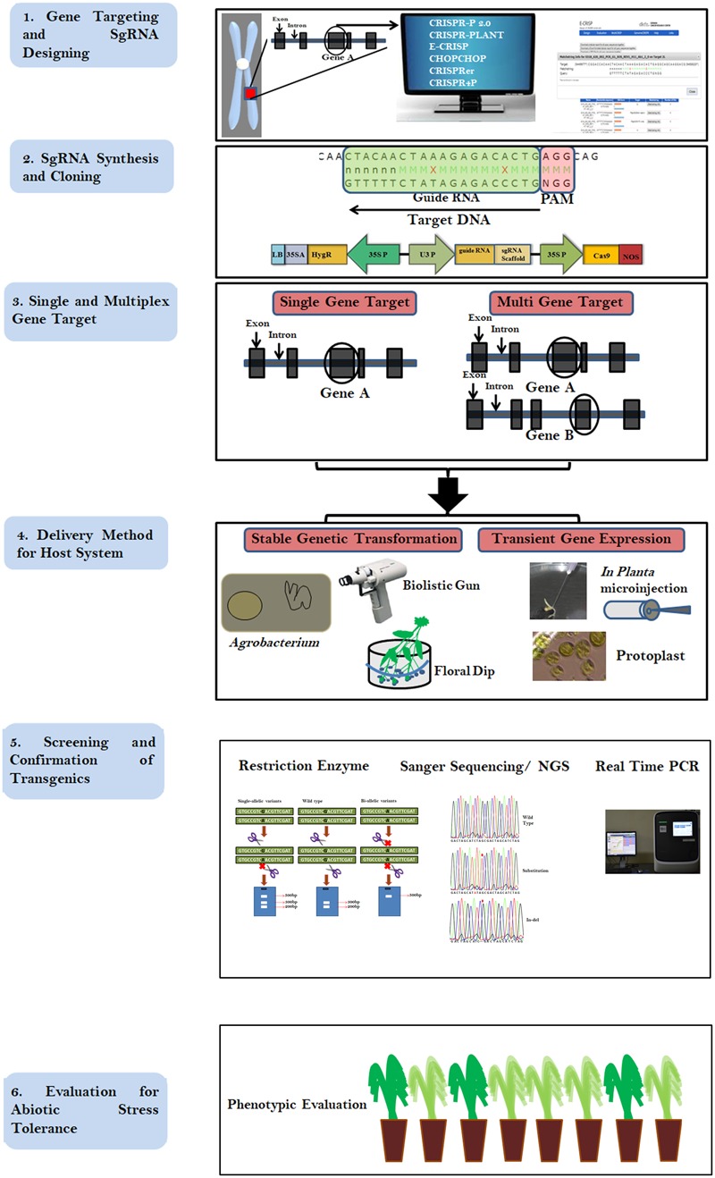 FIGURE 1