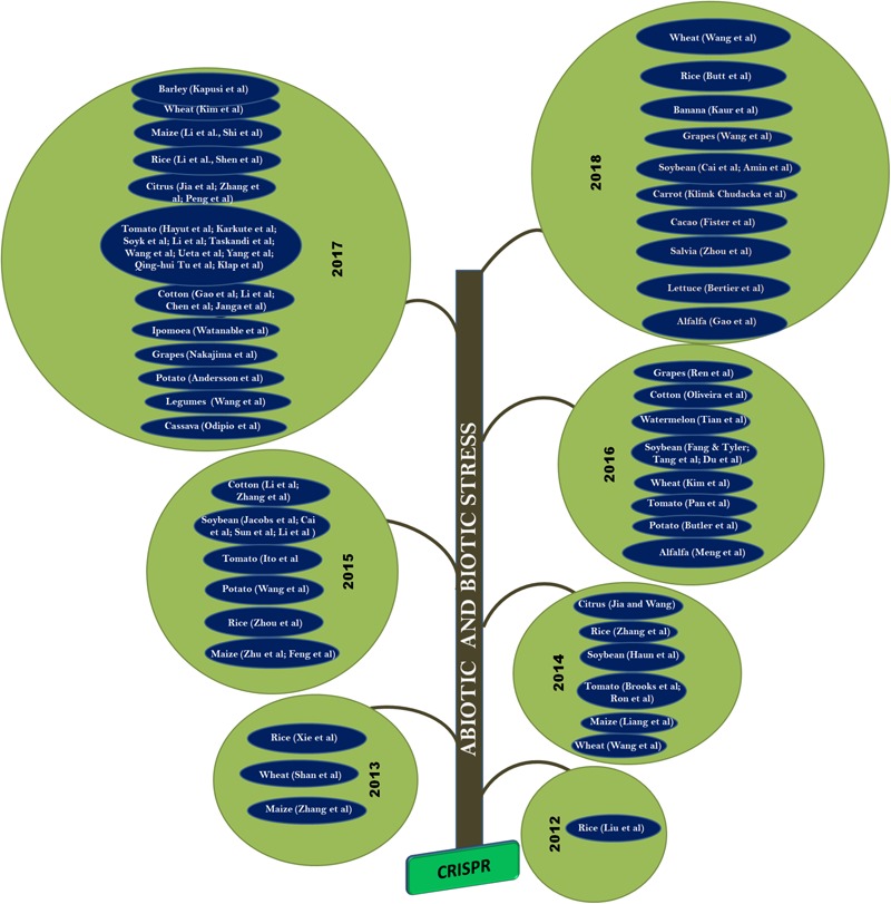 FIGURE 4