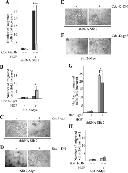 Figure 10.