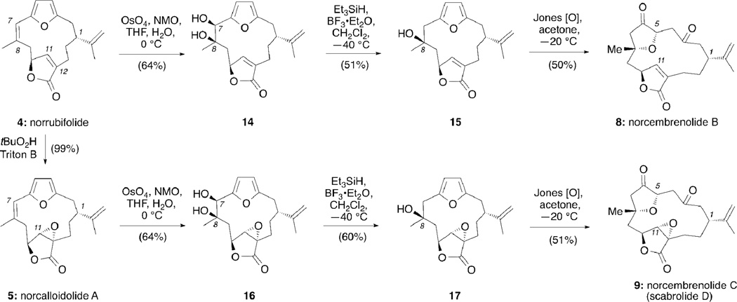 Scheme 3