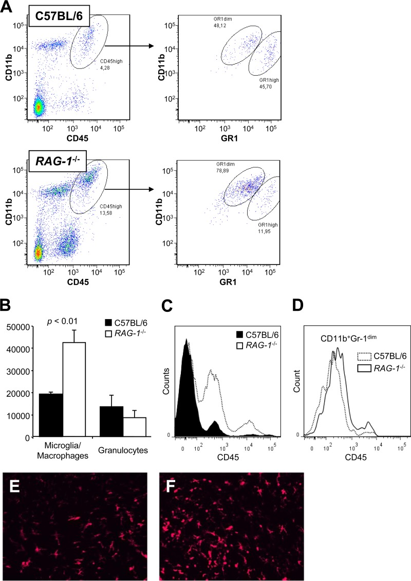 FIG 3