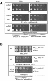 FIG. 8.
