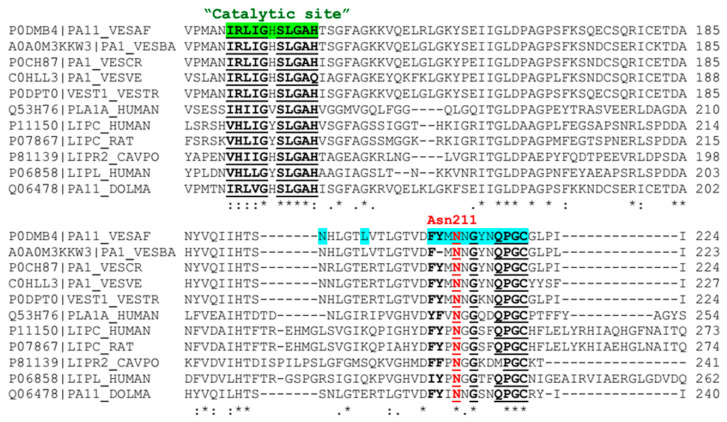 Figure 10