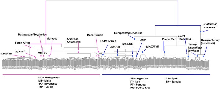 Fig. 7