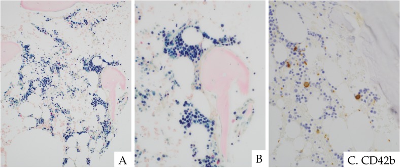 Fig. 8