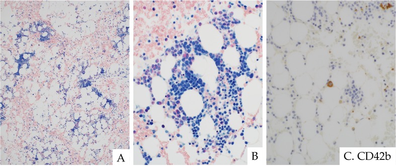 Fig. 10