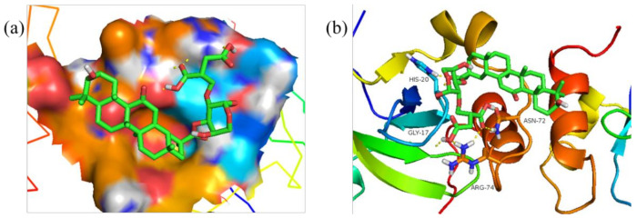 Figure 12