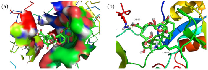 Figure 14