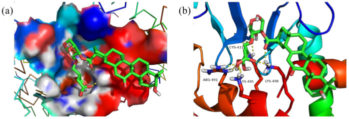 Figure 13