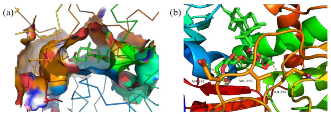 Figure 11