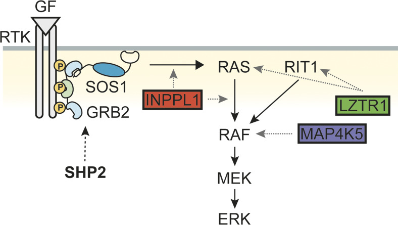 Figure 7.