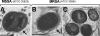 FIG. 2.