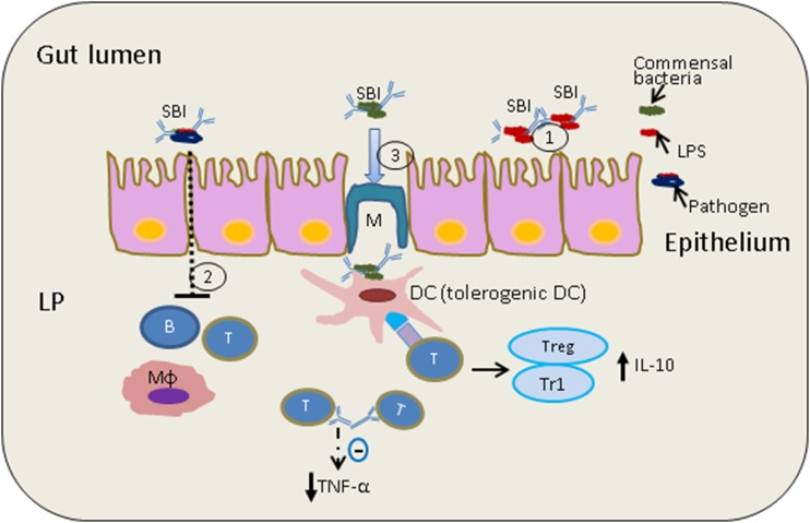 FIGURE 1