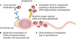 FIG 2